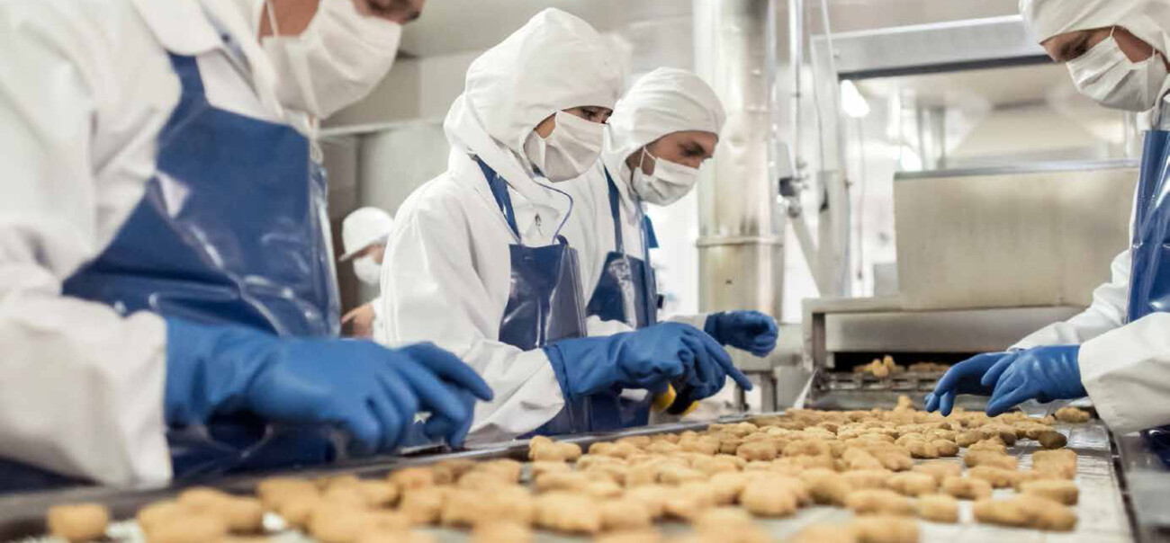 photograph of factory staff working at a conveyor belt of biscuit items